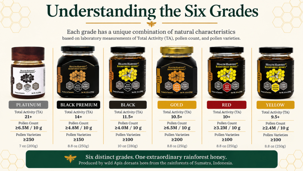 Six Health Harvest Tualang honey grades from Sumatra: Platinum, Gold, Black Premium, Black, Red, and Yellow
