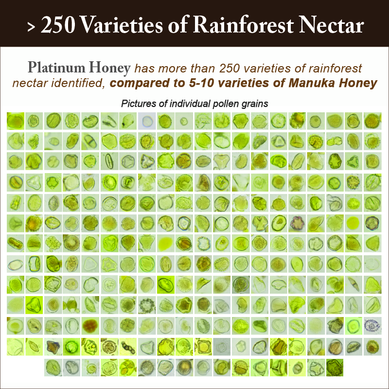Microscopic comparison of pollen density in Tualang Platinum honey at multiple magnifications showing high natural pollen content.