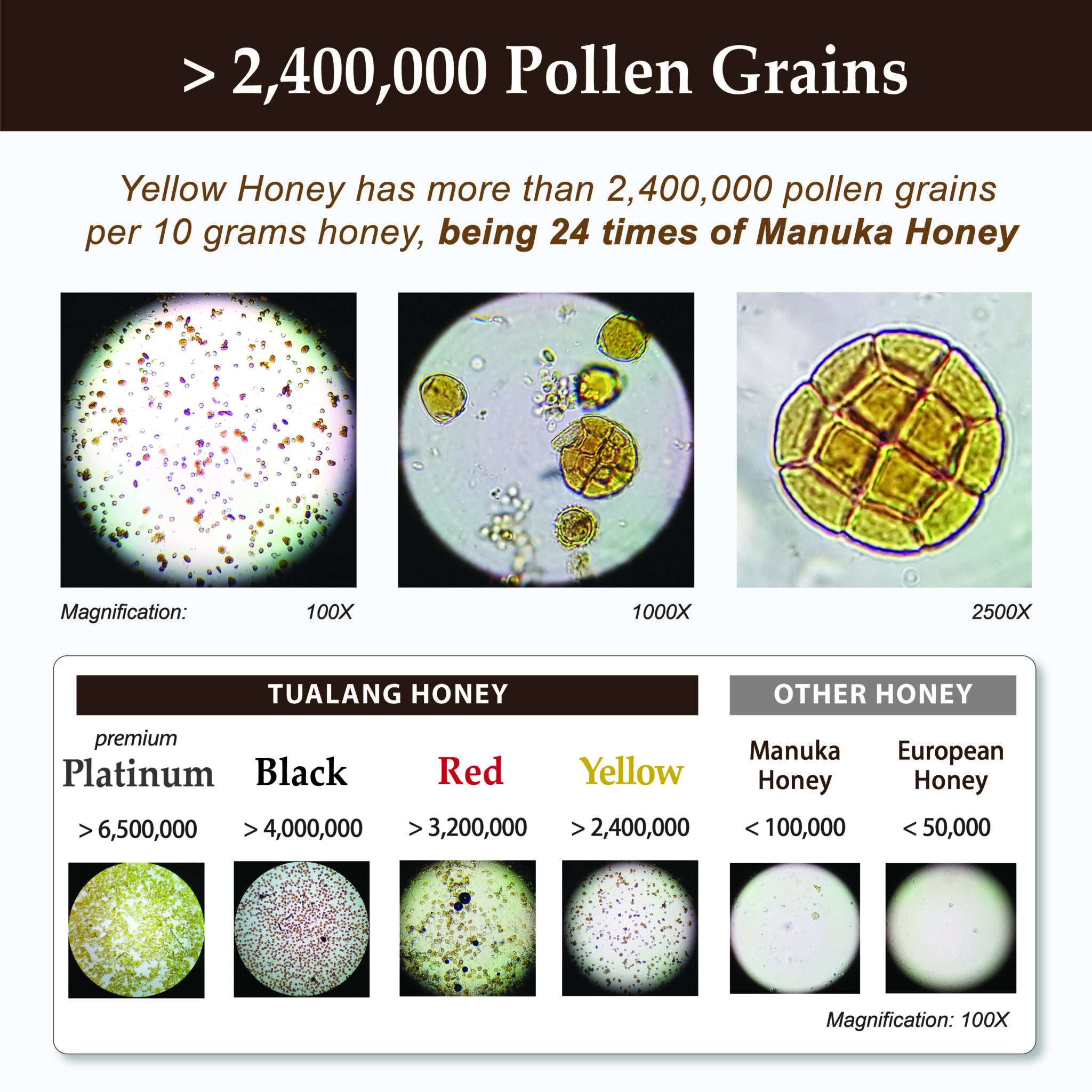 Infographic showing Tualang Yellow Honey pollen count exceeding 2,400,000 grains per 10 grams with microscope comparison to other honeys