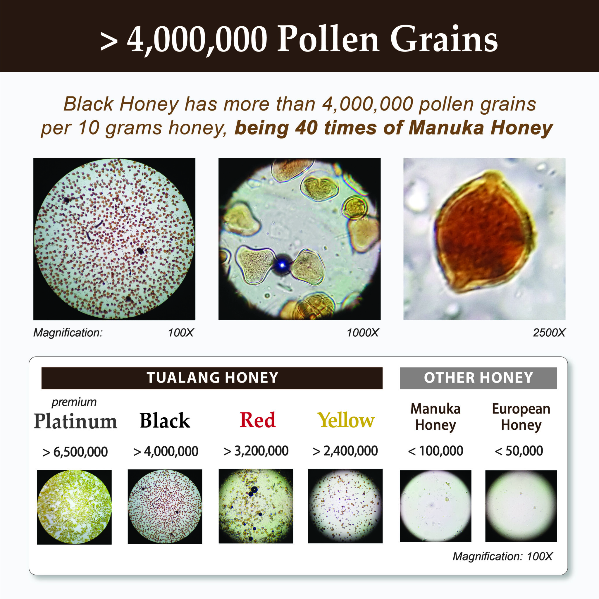 Black Tualang Honey - Image 6