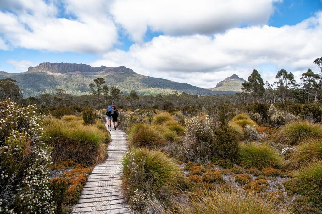 Tasmanian landscape
