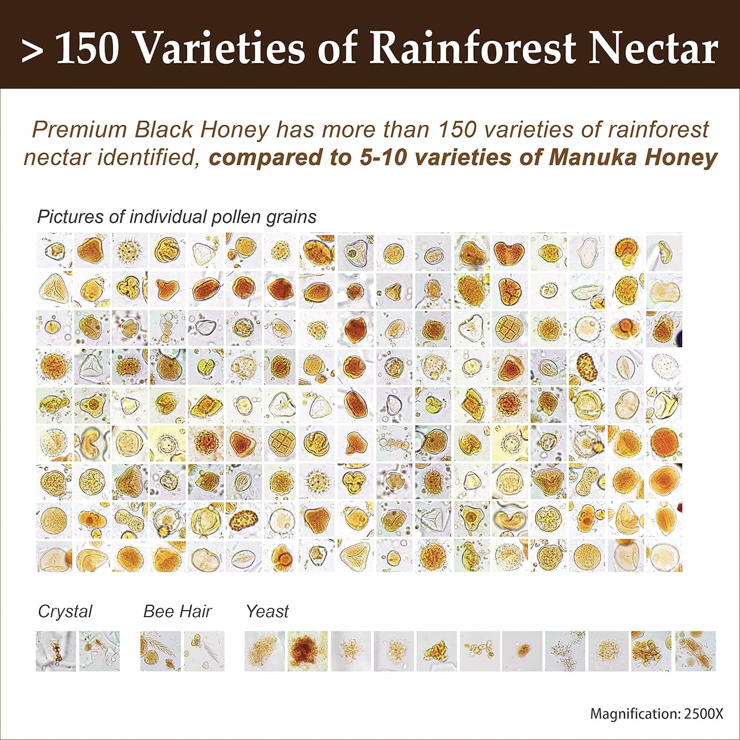 Microscopic view showing over 150 varieties of rainforest pollen found in Tualang honey compared to limited Manuka honey pollen diversity