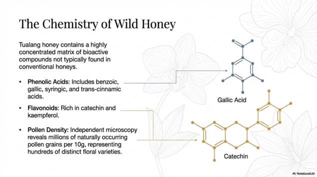 Infographic illustrating the chemistry of Tualang honey, showing phenolic compounds such as gallic acid and catechin along with information about pollen density and bioactive components in wild rainforest honey.