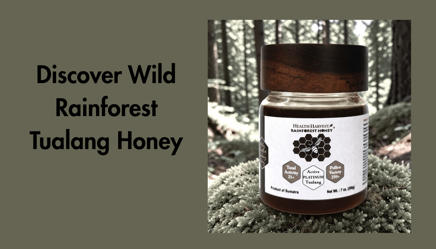 Discover Wild Rainforest honey with Platinum honey sitting on moss in a forest