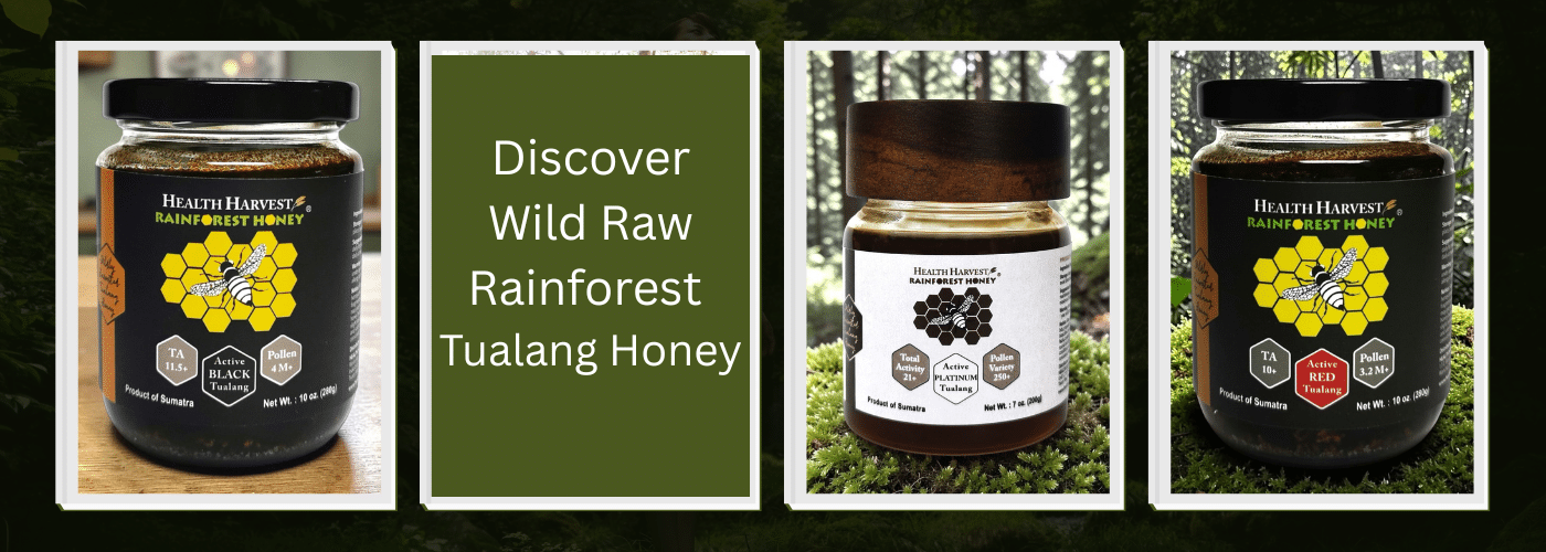 Wild rainforest Tualang honey jars including Black, Platinum, and Red varieties from Sumatra