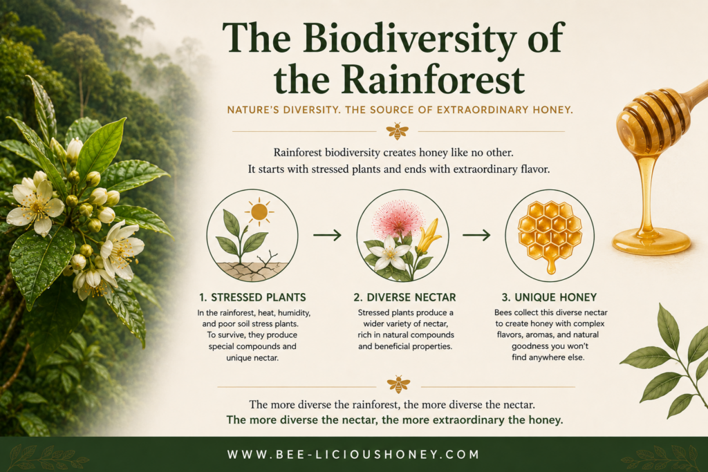 Educational illustration showing how rainforest biodiversity and environmental stress influence nectar diversity, contributing to the unique composition of wild Tualang honey.