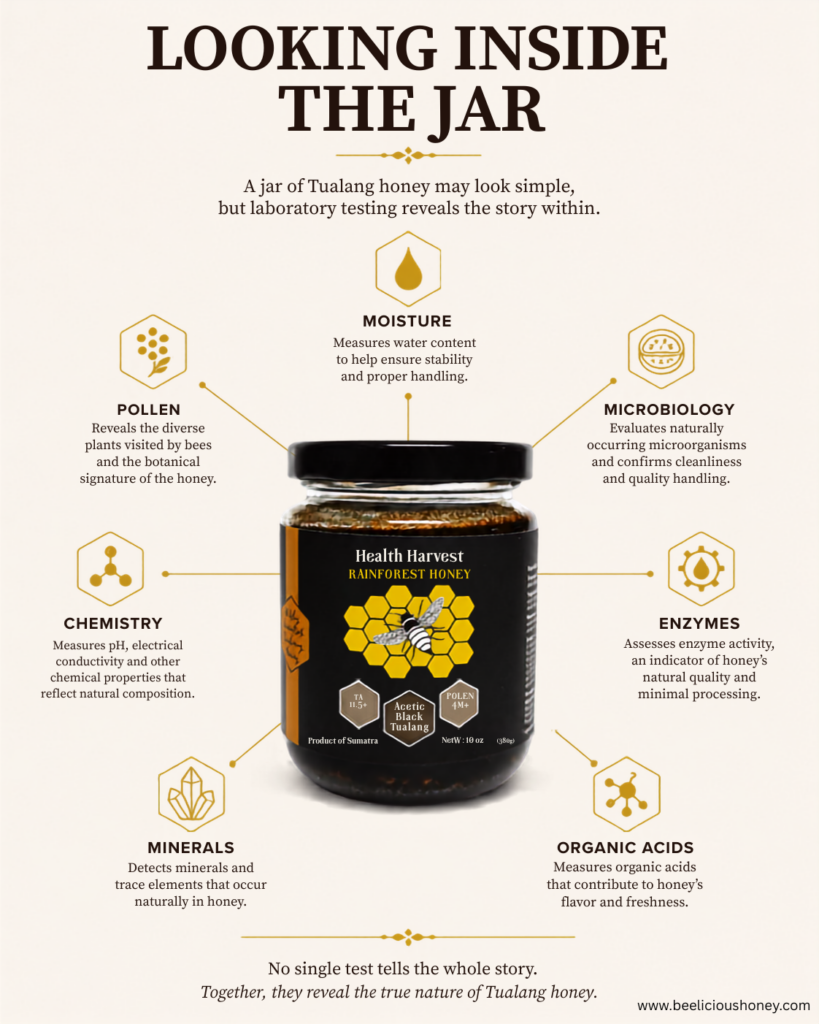 Illustration showing the laboratory tests performed on Tualang honey, including pollen analysis, moisture, microbiology, chemistry, enzymes, minerals, and organic acids surrounding a jar of Health Harvest Black Tualang Honey