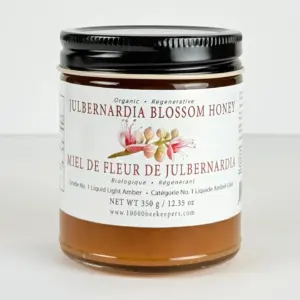Jar of African Bronze Julbernardia honey from Zambia