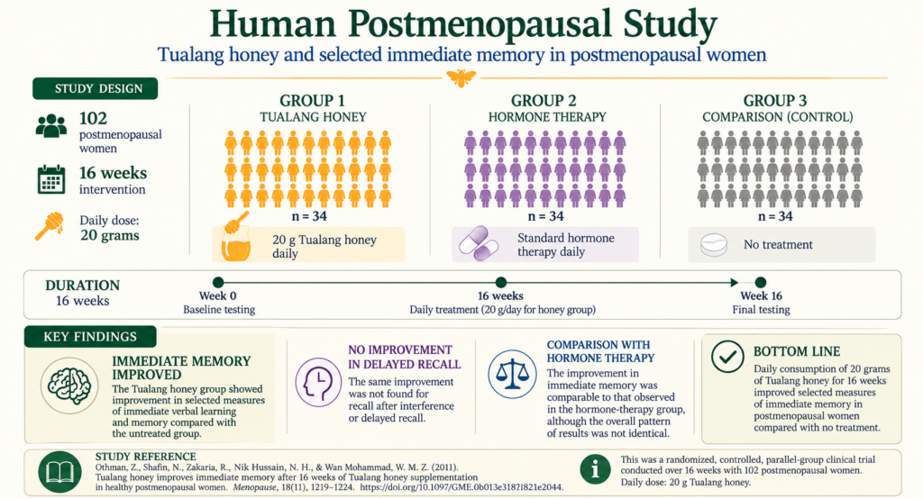 Human study of Tualang honey and immediate memory in 102 postmenopausal women over 16 weeks