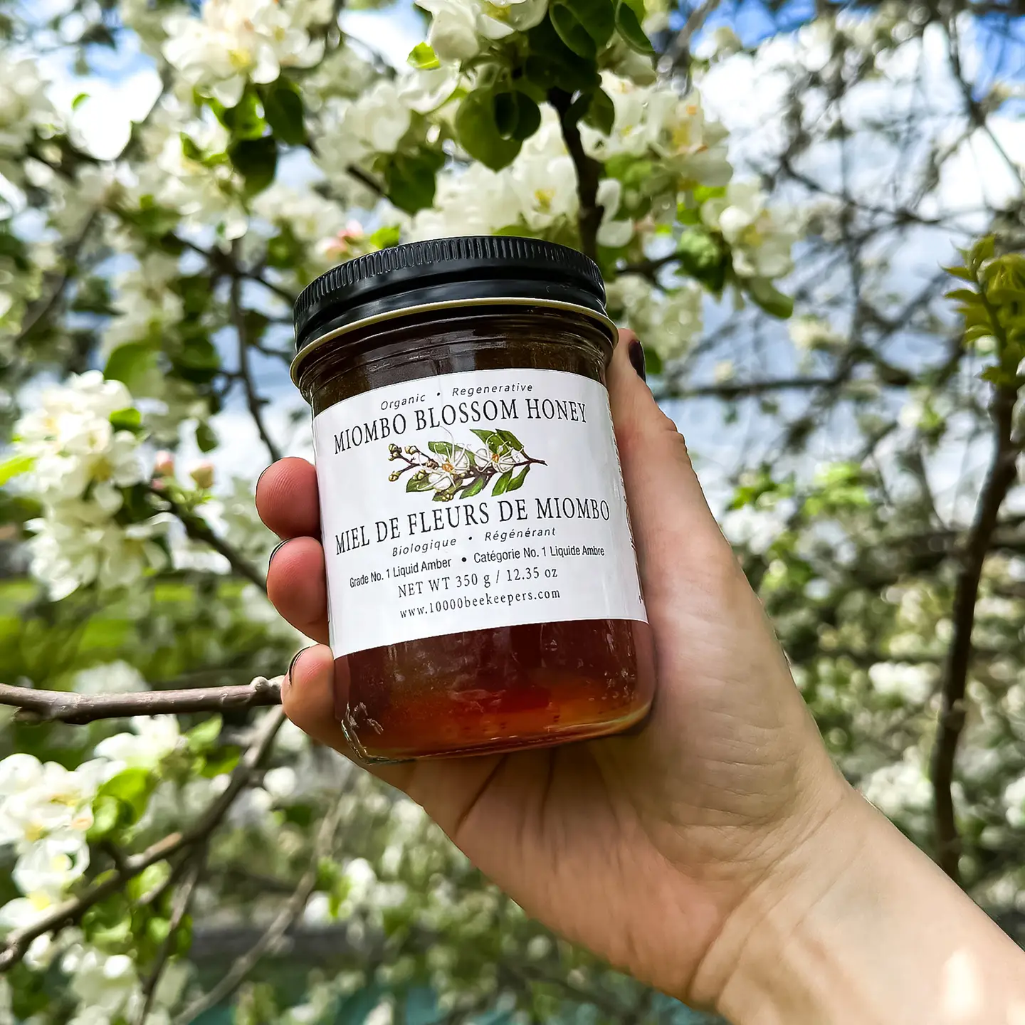 Organic Miombo Blossom Honey – 350 g - Image 2