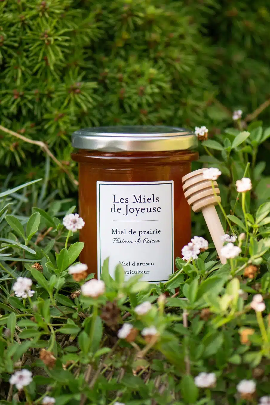 French Wild Prairie Honey from Les Miels de Joyeuse displayed among wildflowers